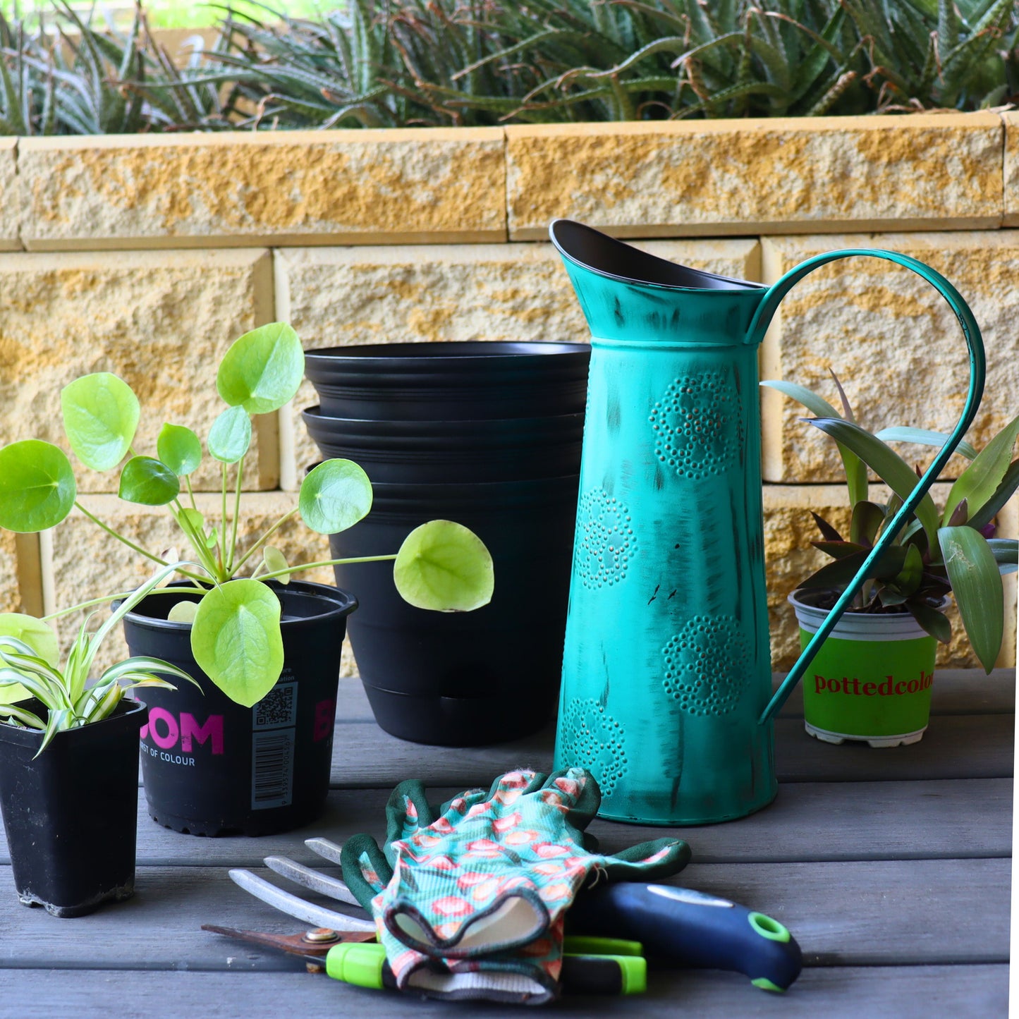 Green Watering Can/Jug 3 Litre, Eco-friendly Gift for Plant Lovers - Aksa Home Decor