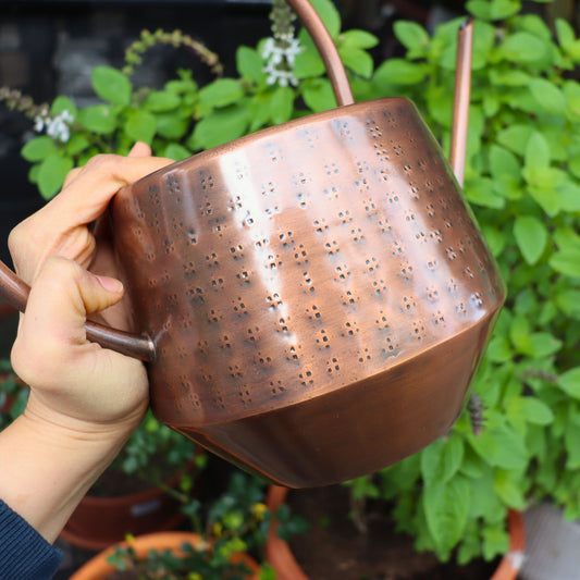 A hand holding a hammered copper watering can with a long spout and handle, set against a background of green potted plants.