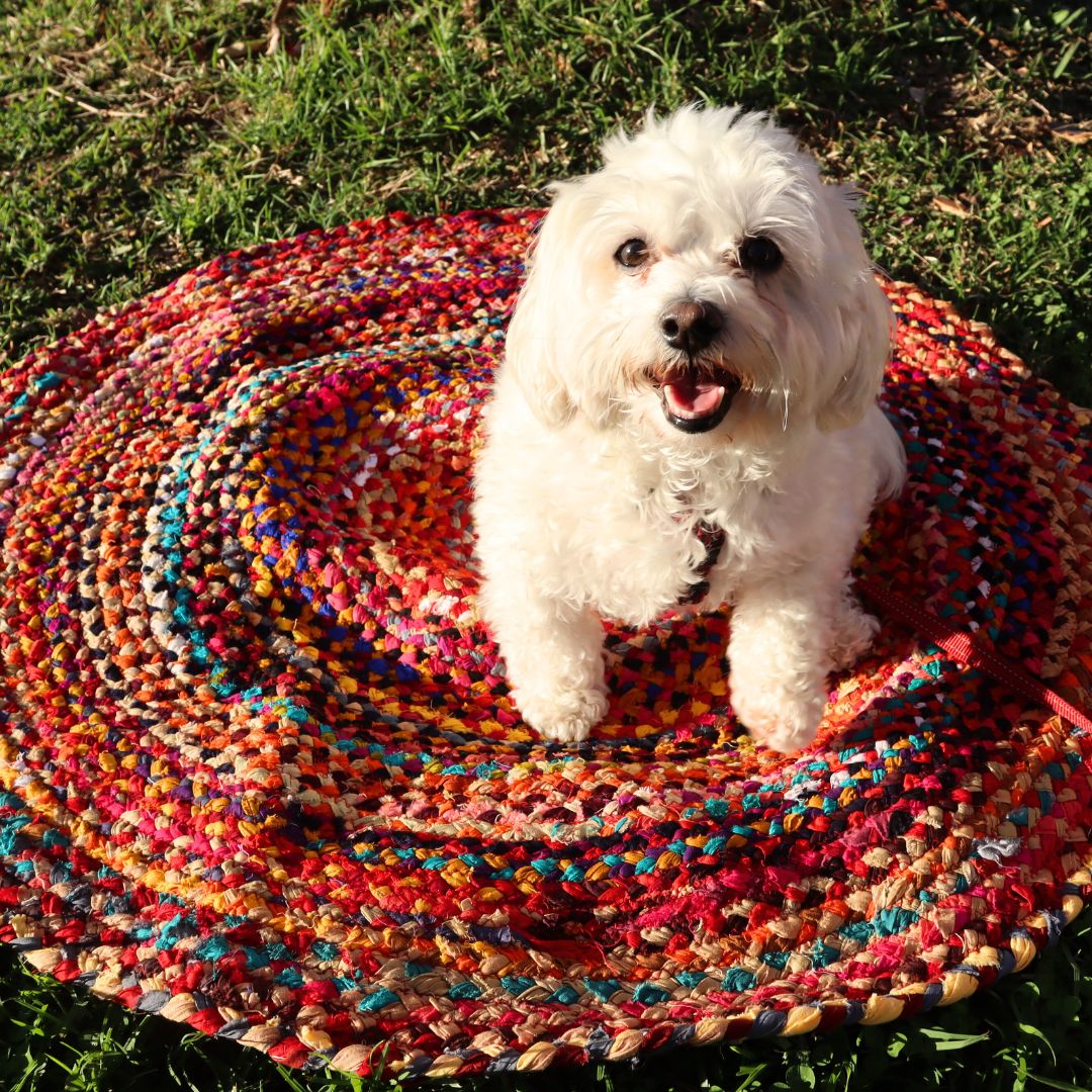 Round Chindi Rag Rug, Recycled Cotton, Multicolour 3 ft, Braided Style, Hand Knotted - Aksa Home Decor