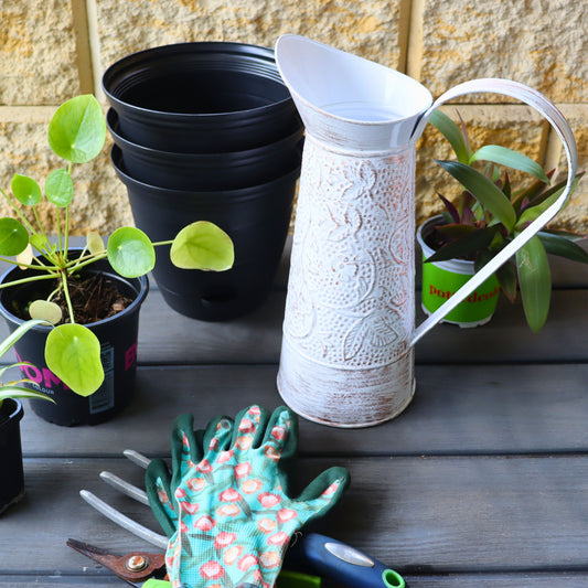 White Watering Metal Can/Jug - Copper finish, 32.5 cm, 3 Litres, Plant Lover Gift - Aksa Home Decor