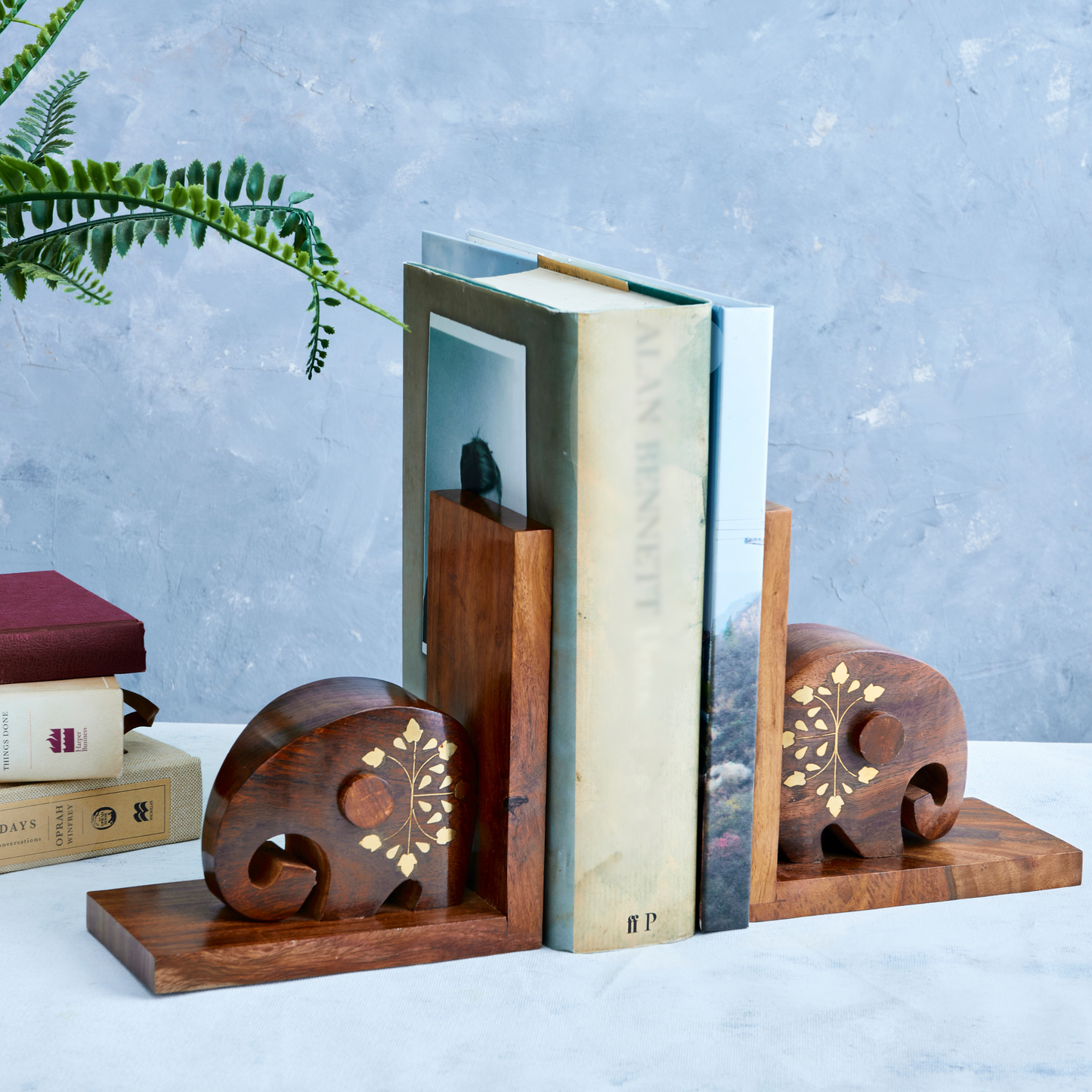 Elephant Wood and Brass Bookends - Bookworm Gift, Hand carved Holder - Aksa Home Decor 