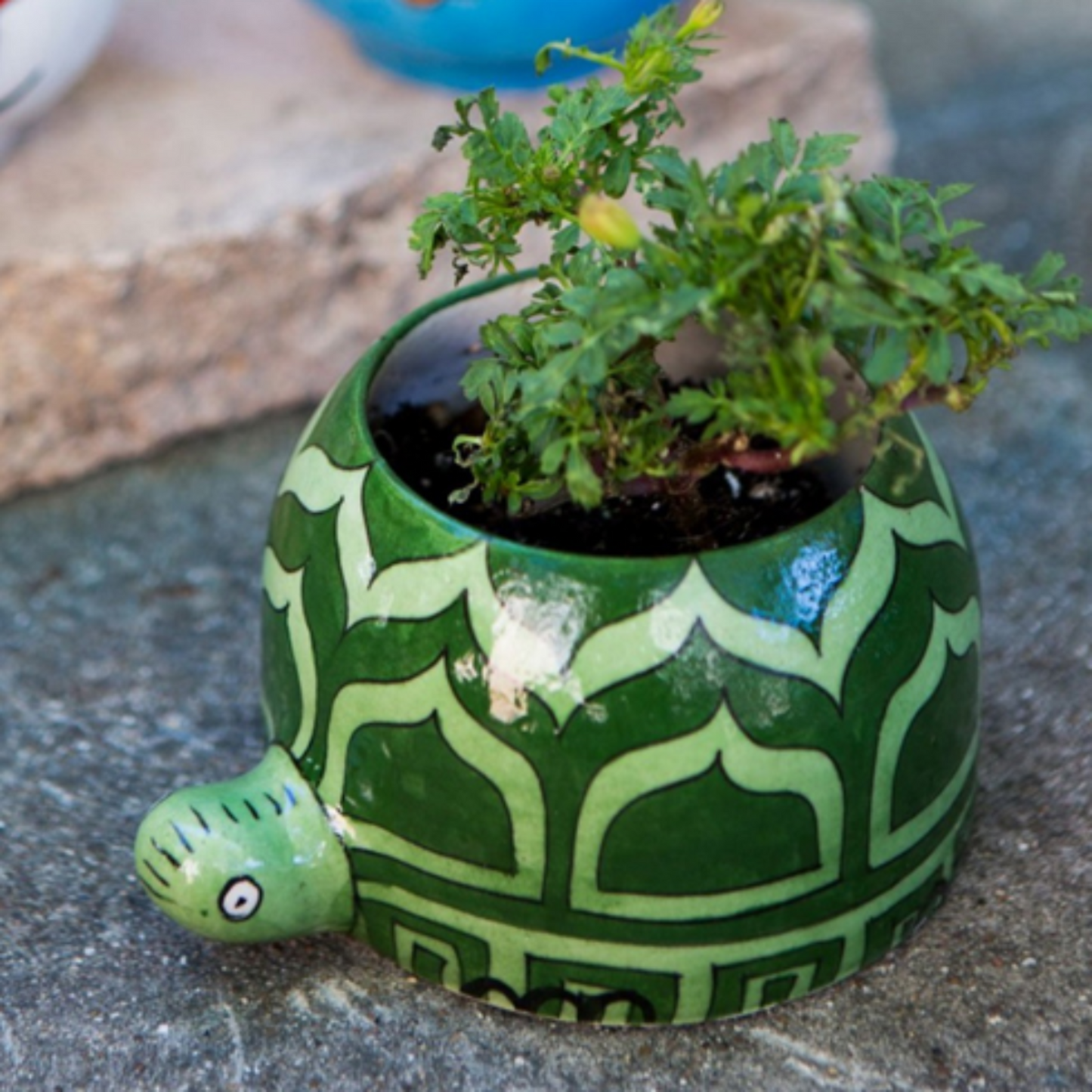 Handmade Pottery Turtle Planter Pot - Green Colour with Drainage - Aksa Home Decor
