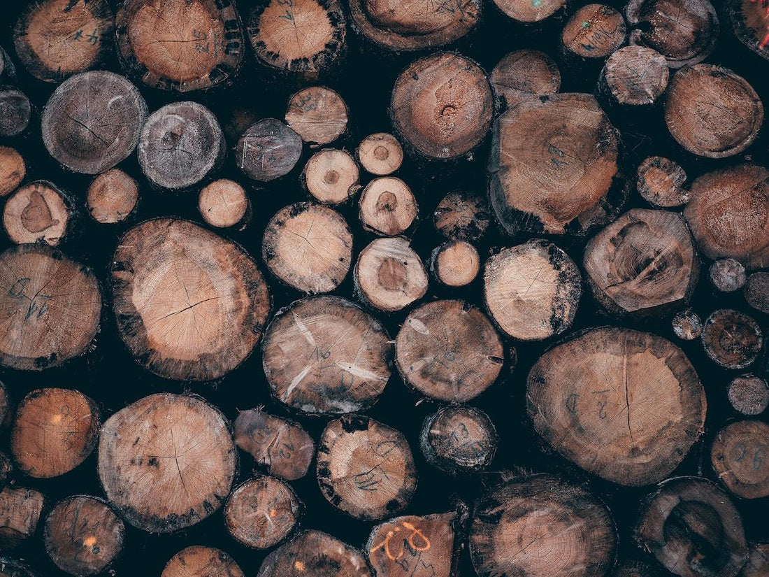 Why is it important to avoid trading in illegally harvested wood?