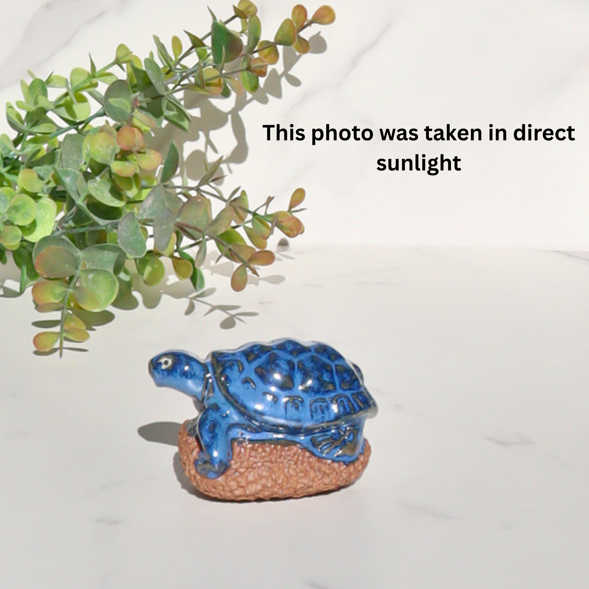 Blue Turtle Ceramic Foot Scrubber - Pedicure Exfoliator Tool - Aksa Home Decor 