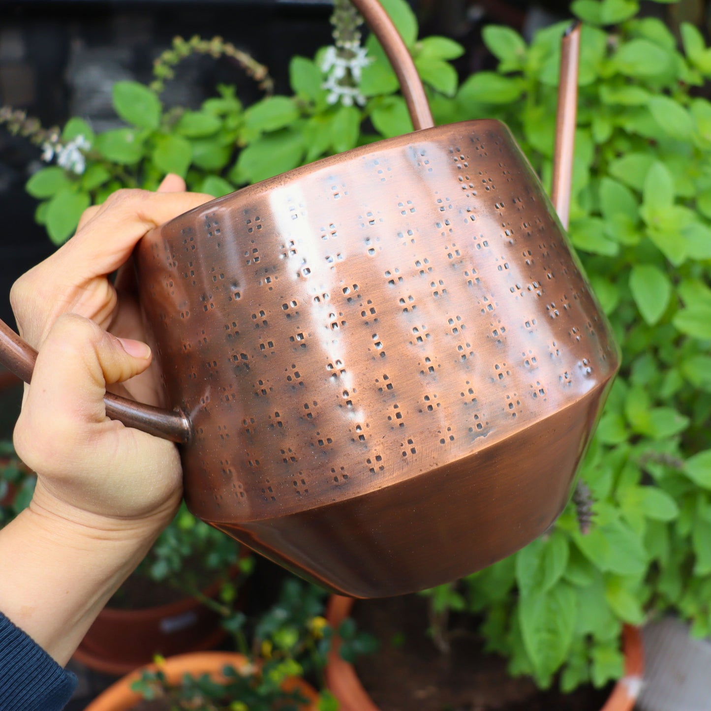 A hand holding a hammered copper watering can with a long spout and handle, set against a background of green potted plants.