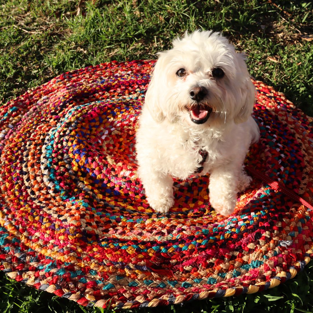Round Chindi Rag Rug, Recycled Cotton, Multicolour 3 ft, Braided Style, Hand Knotted - Aksa Home Decor 