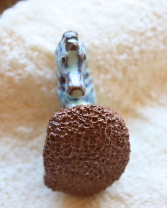 Sea Horse Ceramic Foot Scrubber - Pedicure Exfoliator Tool