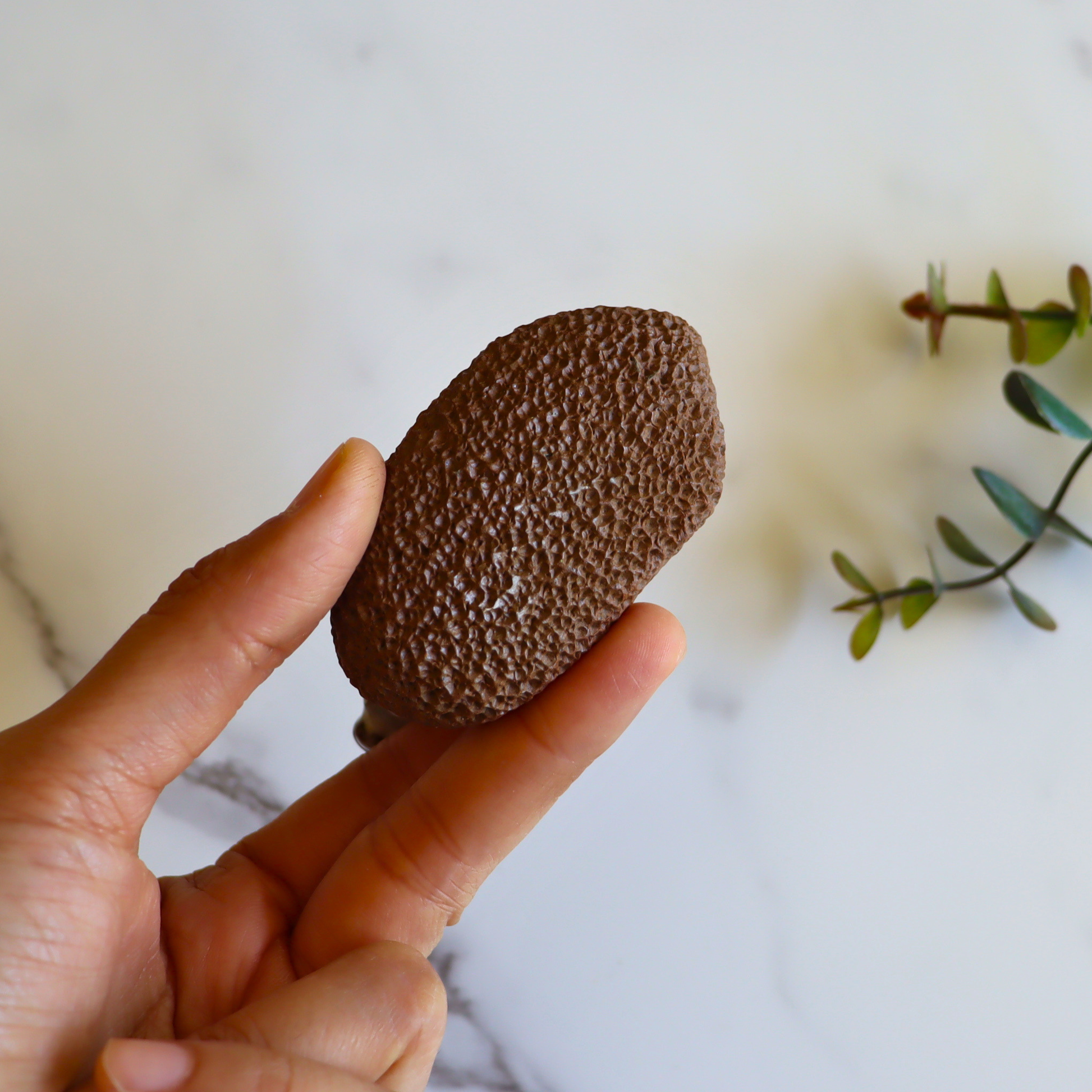 Seahorse Ceramic Foot Scrubber - Pedicure Exfoliator Tool - Aksa Home Decor 